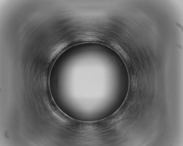 X0000095920533200801181419