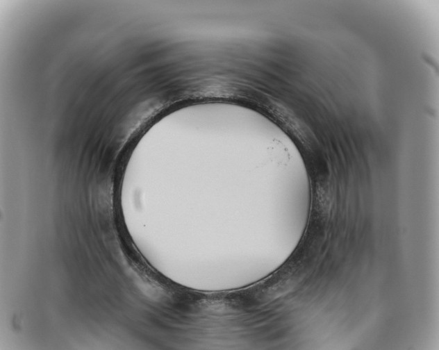 X0000095920534200801181419