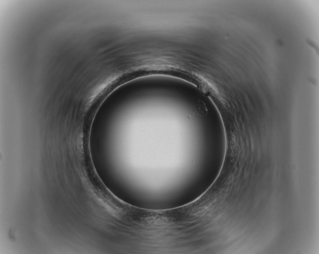 X0000095920535200801181419