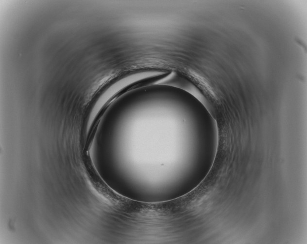 X0000095920538200801181419