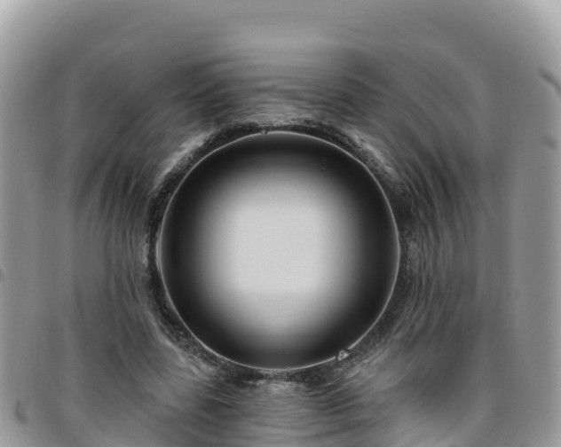 X0000095920539200801181419