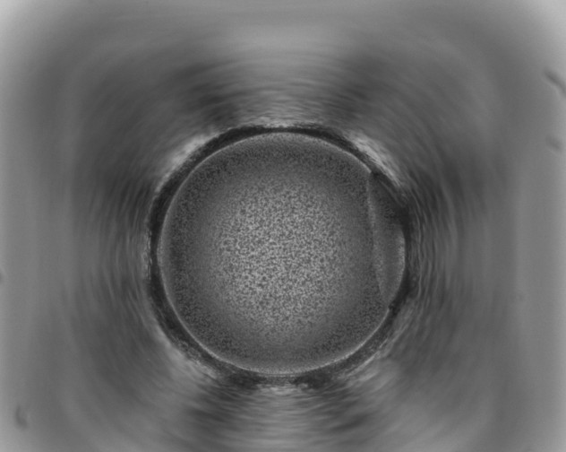 X0000095920540200801181419