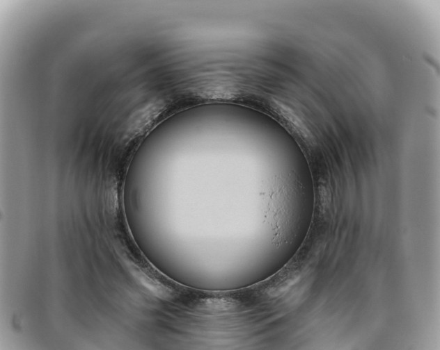 X0000095920541200801181419