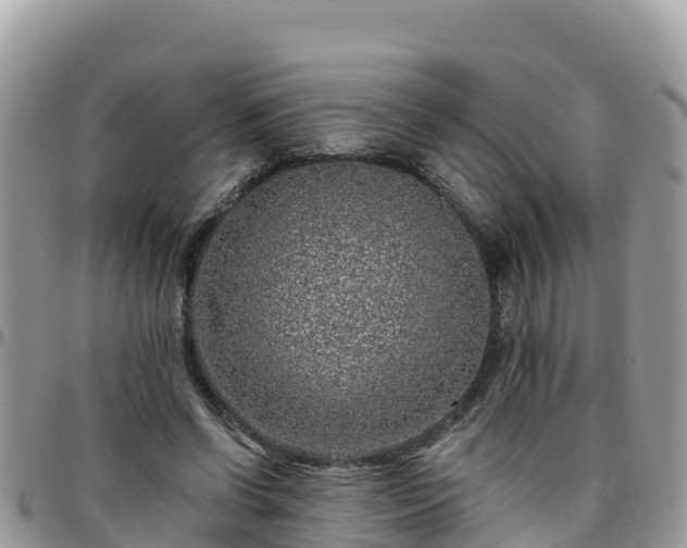 X0000095920542200801181419