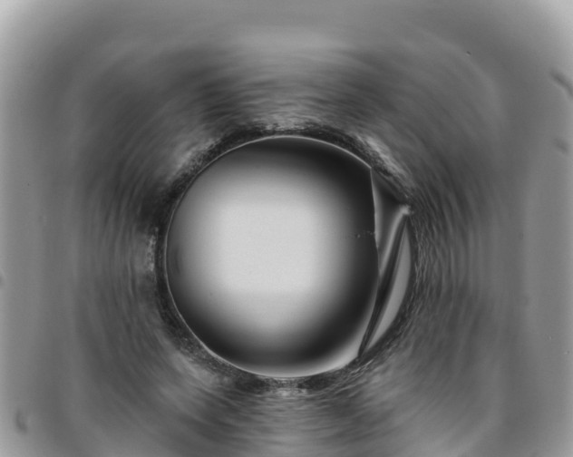 X0000095920543200801181419