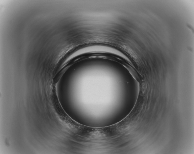 X0000095920544200801181419