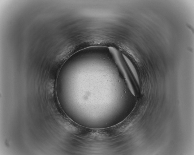 X0000095920545200801181419