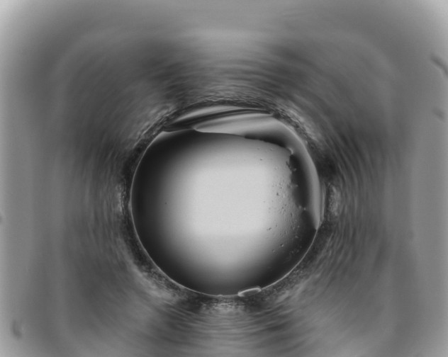 X0000095920546200801181419