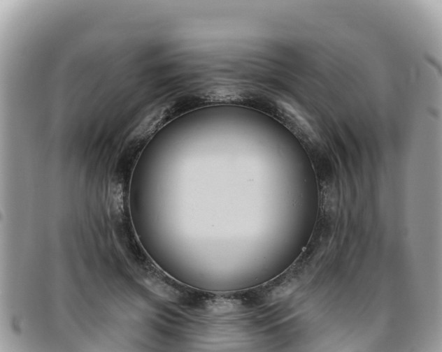 X0000095920549200801181419