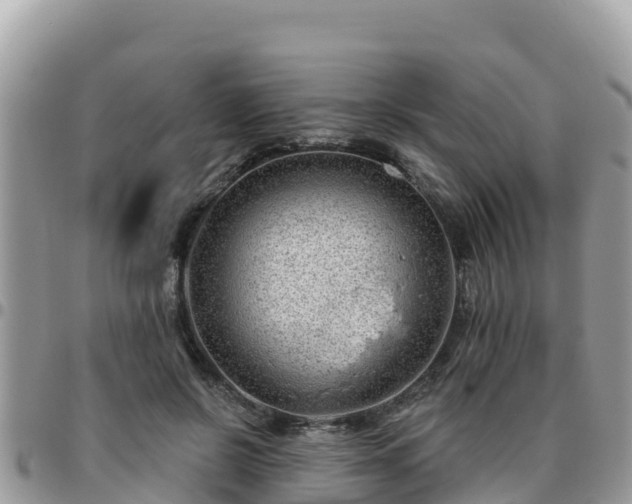 X0000095920550200801181420