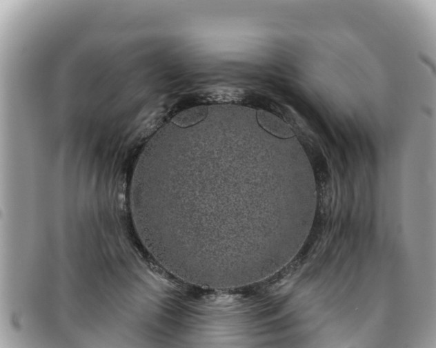 X0000095920553200801181420