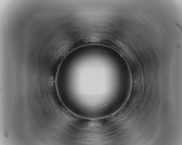 X0000095920555200801181420