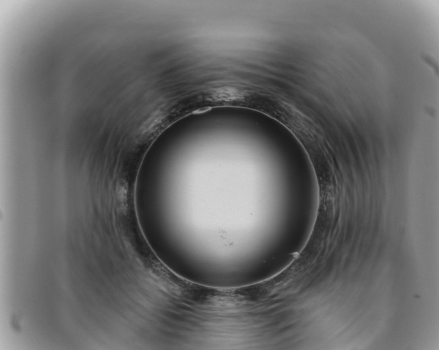 X0000095920556200801181420