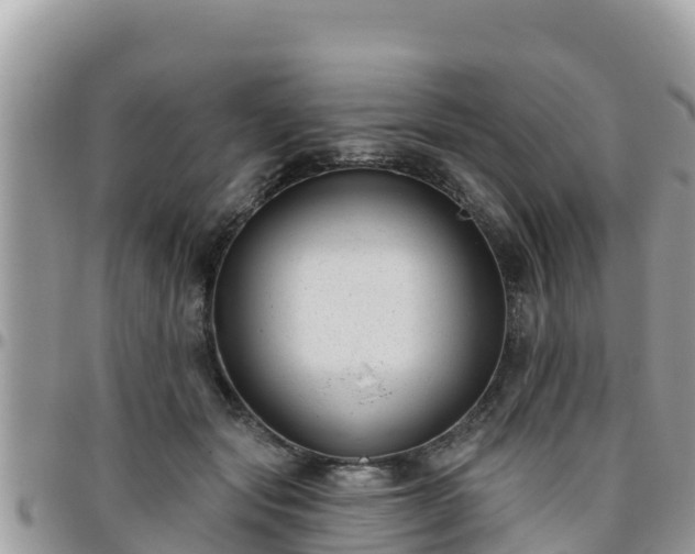 X0000095920557200801181420