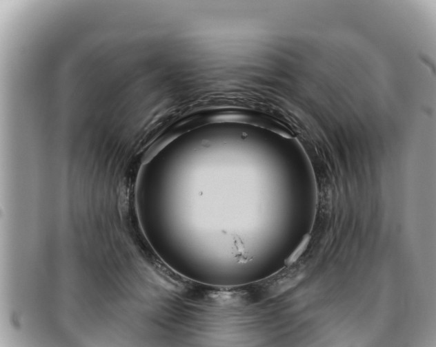 X0000095920558200801181420