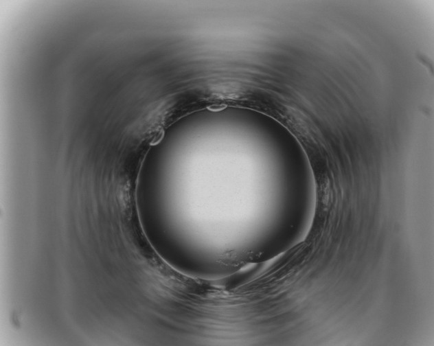 X0000095920559200801181420