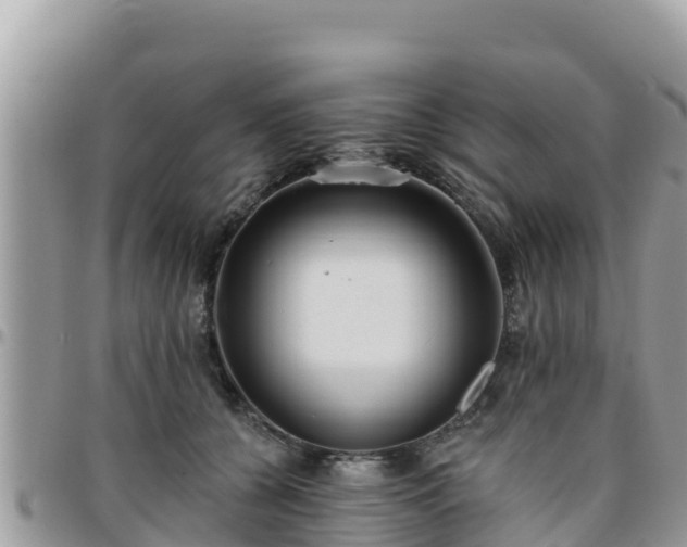 X0000095920560200801181420