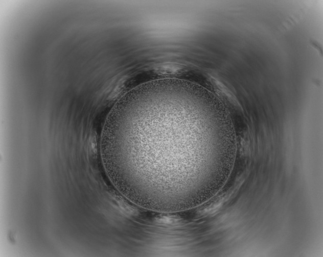 X0000095920561200801181420