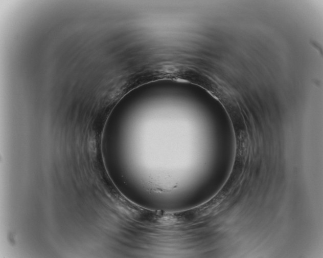 X0000095920562200801181420