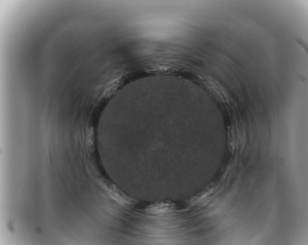 X0000095920563200801181420