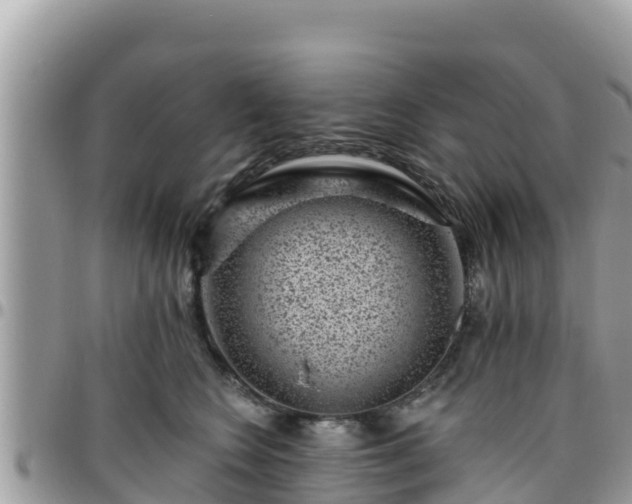 X0000095920566200801181420