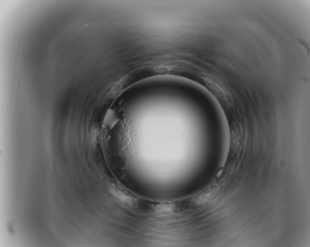 X0000095920574200801181420