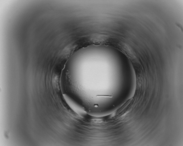 X0000095920575200801181420