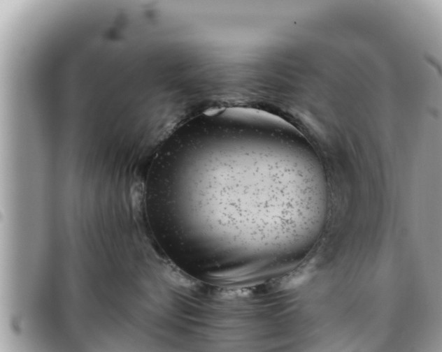 X0000095920576200801181420