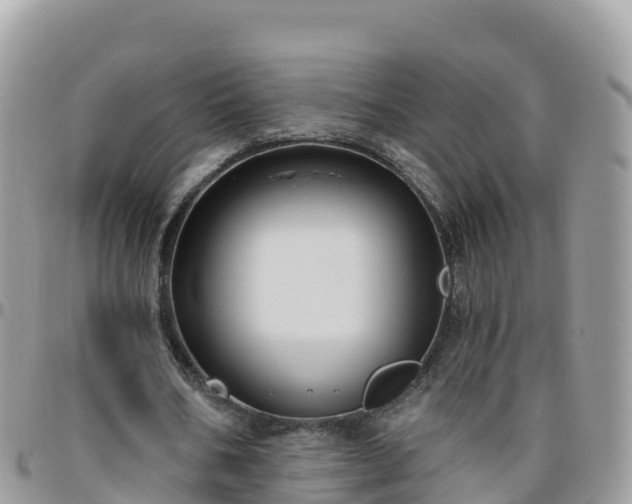 X0000095920578200801181419