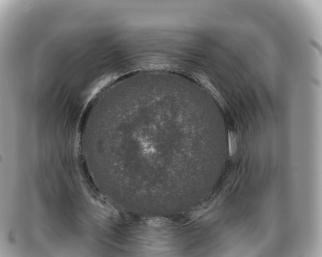 X0000095920579200801181419