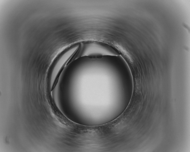 X0000095920580200801181419