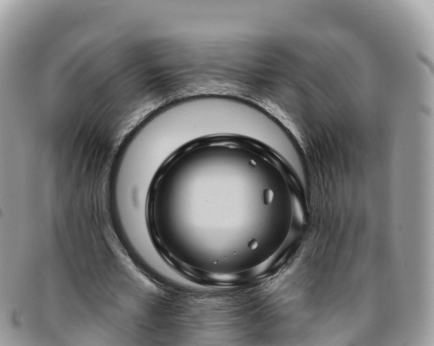 X0000095920581200801181419