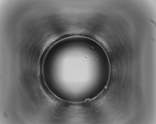 X0000095920582200801181419