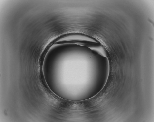 X0000095920584200801181419