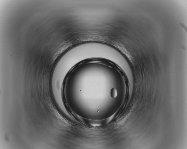 X0000095920585200801181419