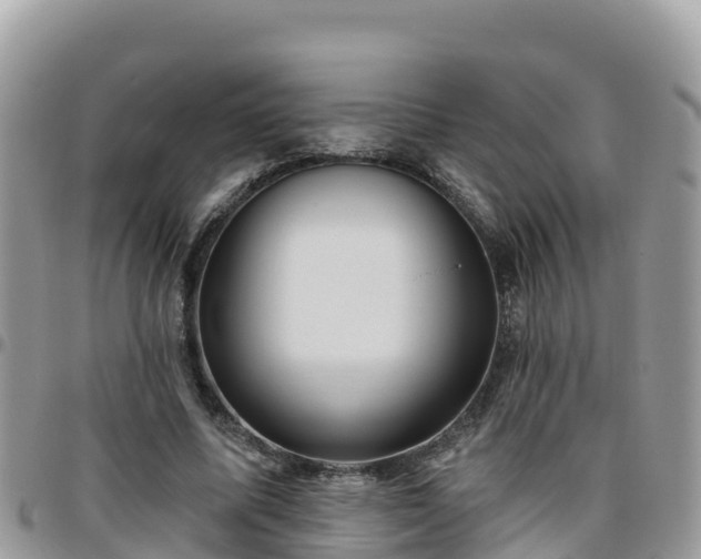 X0000095920587200801181419