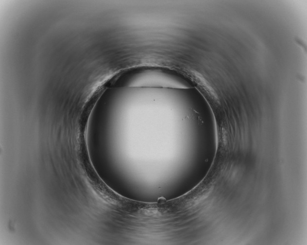 X0000095920588200801181419