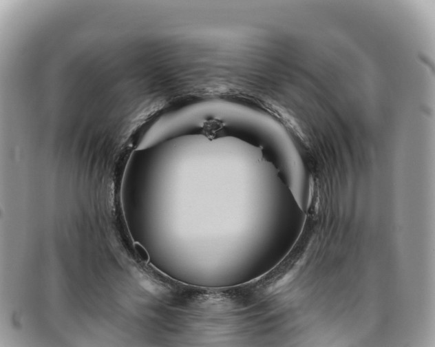 X0000095920589200801181419