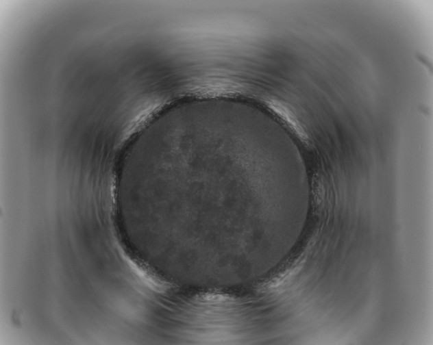 X0000095920590200801181419