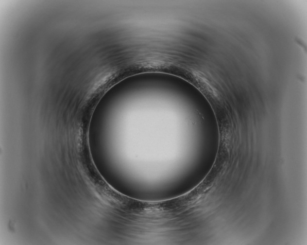 X0000095920591200801181419