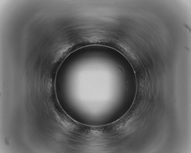 X0000095920592200801181419