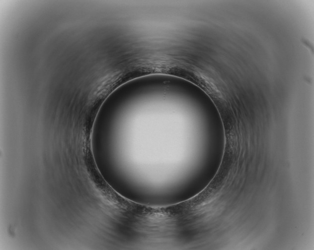 X0000095920594200801181419