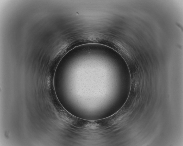 X0000095920595200801181419