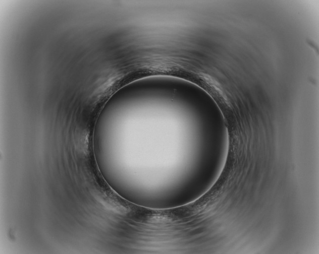 X0000095920596200801181419