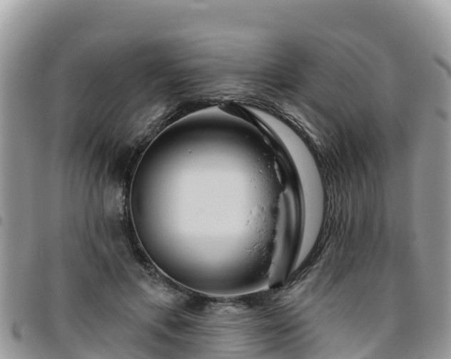 X0000095920597200801181419