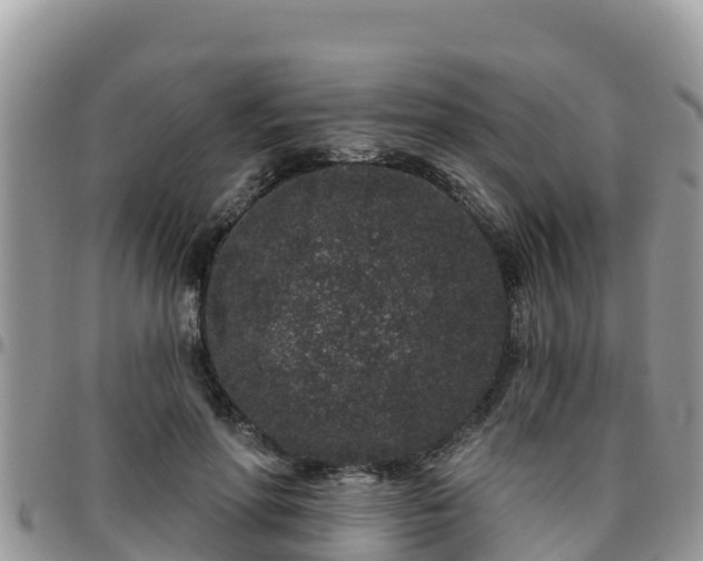 X0000095920598200801181419