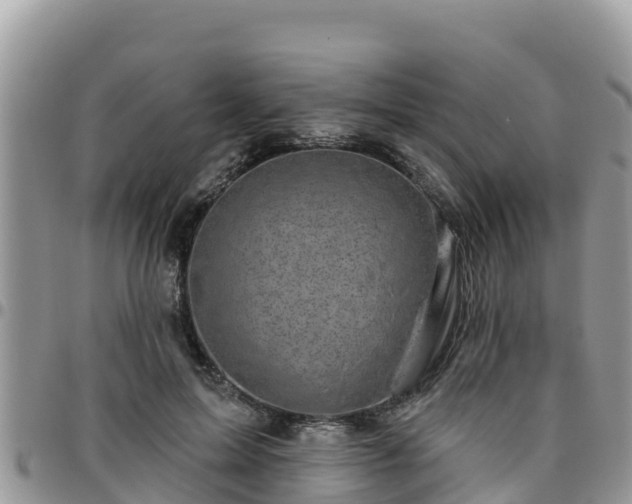 X0000095920599200801181419