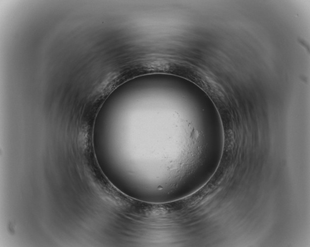 X0000095920600200801181419