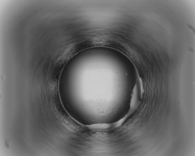 X0000095920601200801181419