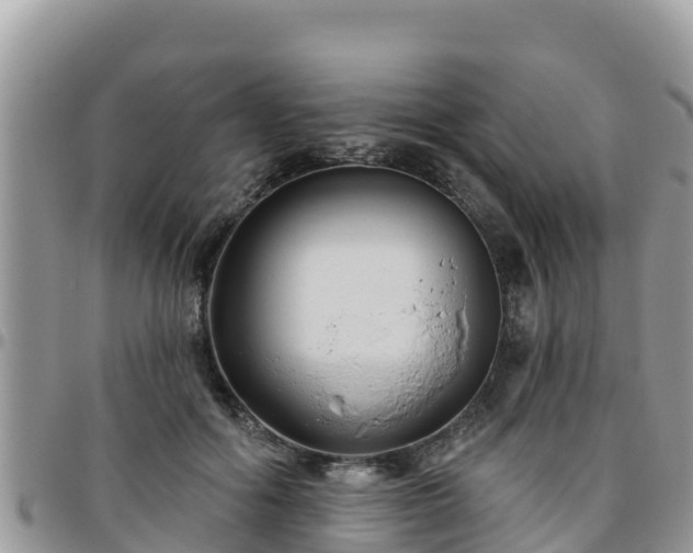 X0000095920602200801181419